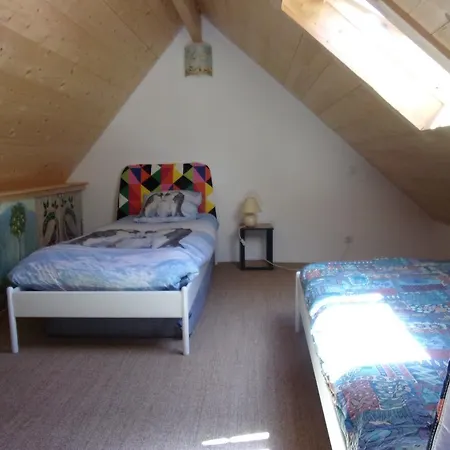 Maison Bois 