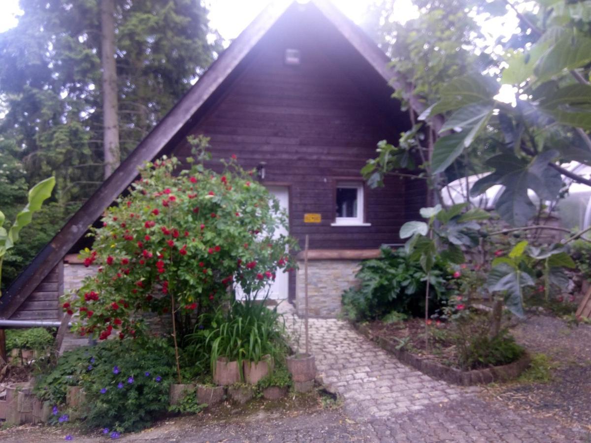 Maison Bois 