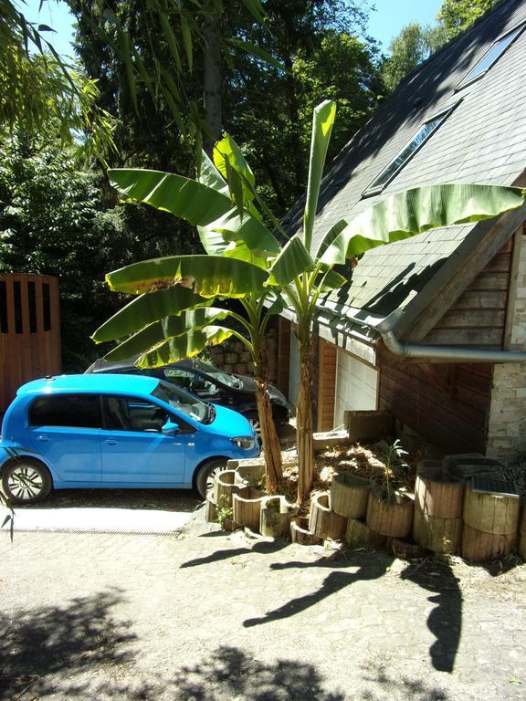 Maison Bois 