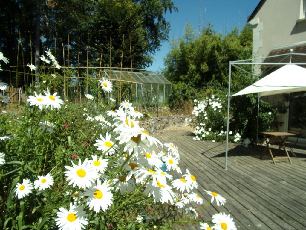 Maison Bois 